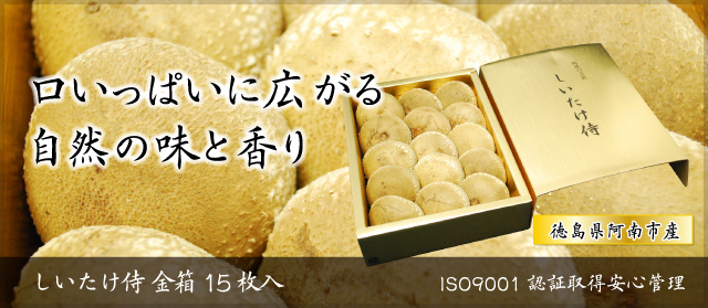 口いっぱいにひろがる自然の味と香り＞　徳島県産しいたけ侍　金箱15枚入